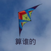 王雅菲 - 算谁的