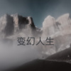 王雅菲 - 变幻人生