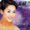 文欣 - 漂亮东方 (现场)