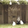 MARIA - さよなら 大好きな人