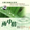 段皑皑 - 雨一直下 (二胡)