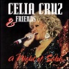 Celia Cruz《Mi Vida Es Cantar》[MP3/LRC]