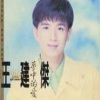 王建杰 - 月娘笑阮憨