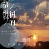 逸雨 - 梧桐树的享念