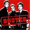 busted《What I Go To School For》[MP3/LRC]