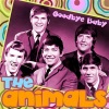 The Animals - We Gotta Get Out of This Place