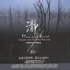 霍永刚 - 声道测试