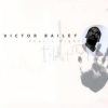 victor bailey - Goose Bumps