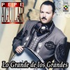 Pepe Aguilar - Que Sepan Todos