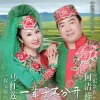 马红莲、何清祥 - 花儿与少年