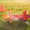 Breno - True (Original Mix)