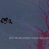 Mimosa - 旭