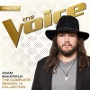 Adam Wakefield - Tennessee Whiskey