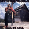 Stevie Ray Vaughan - Ain't Gone 'N' Give Up On Love