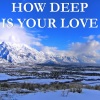 Pop Merchants - How Deep Is Your Love - Tribute to Calvin Harris and Disciples