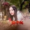 段涵 - 梅花钗