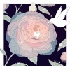 ROOK1E、J'san - Pure Imagination (纯粹的幻想)