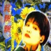 龙飘飘 - 雨中的影子