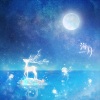 麋麋乐团 - 海月