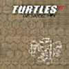 乌龟组合 - Turtle Free Ⅰ