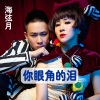 海弦月 - 你眼角的泪