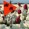 苏妍、梦宝儿 - 南燕