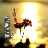 李安芳《感谢陪伴》[MP3/LRC]