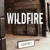 Seafret《Wildfire》[MP3/LRC]