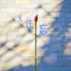 王破轮、赵金亮 - 无法忘记