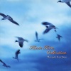 Kevin Kern - Through The Arbor (走过绿意)