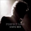 Simply Red《Perfect Love (Radio Mix)》[MP3/LRC]