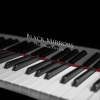 Vladimir Sterzer - Black Mirrors