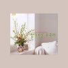 韩国群星 - 세레나데 13번 2악장 '로망스'
