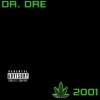 Dr. Dre、Snoop Dogg - Still D.R.E.