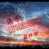 李豪 - 情总是让人痛