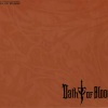 Inon Zur - Dream of Peace