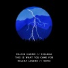 Helena Legend、Calvin Harris、Rihanna《This Is What You Came For (Helena Legend Remix)》[MP3/LRC]