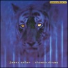James Asher、Sivamani - Amma