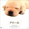 栗コーダーカルテット - 盲導犬のテーマ (导盲犬的主题曲)