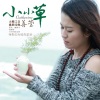 善莹 - 小小草
