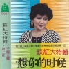 苏红 - 为了你