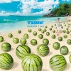 TUBE - SUMMER TIME