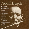 Johannes Brahms、Adolf Busch《Brahms Violin Concerto, mov.1 (1943.7.18, Busch-Steinberg)》[MP3/LRC]