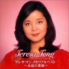 邓丽君 - つぐない (偿还)