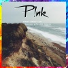 Roman Müller、Pink - What About Us (Roman Müller Remix)