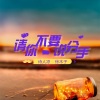 诗人凉、徐木子 - 请你不要说分手