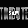 the a-team - S&M (A Salute To Rihanna)