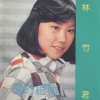 林竹君 - 爱的礼物