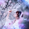 林玉涵 - 红昭愿