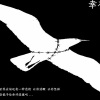 大冲 - 荒野